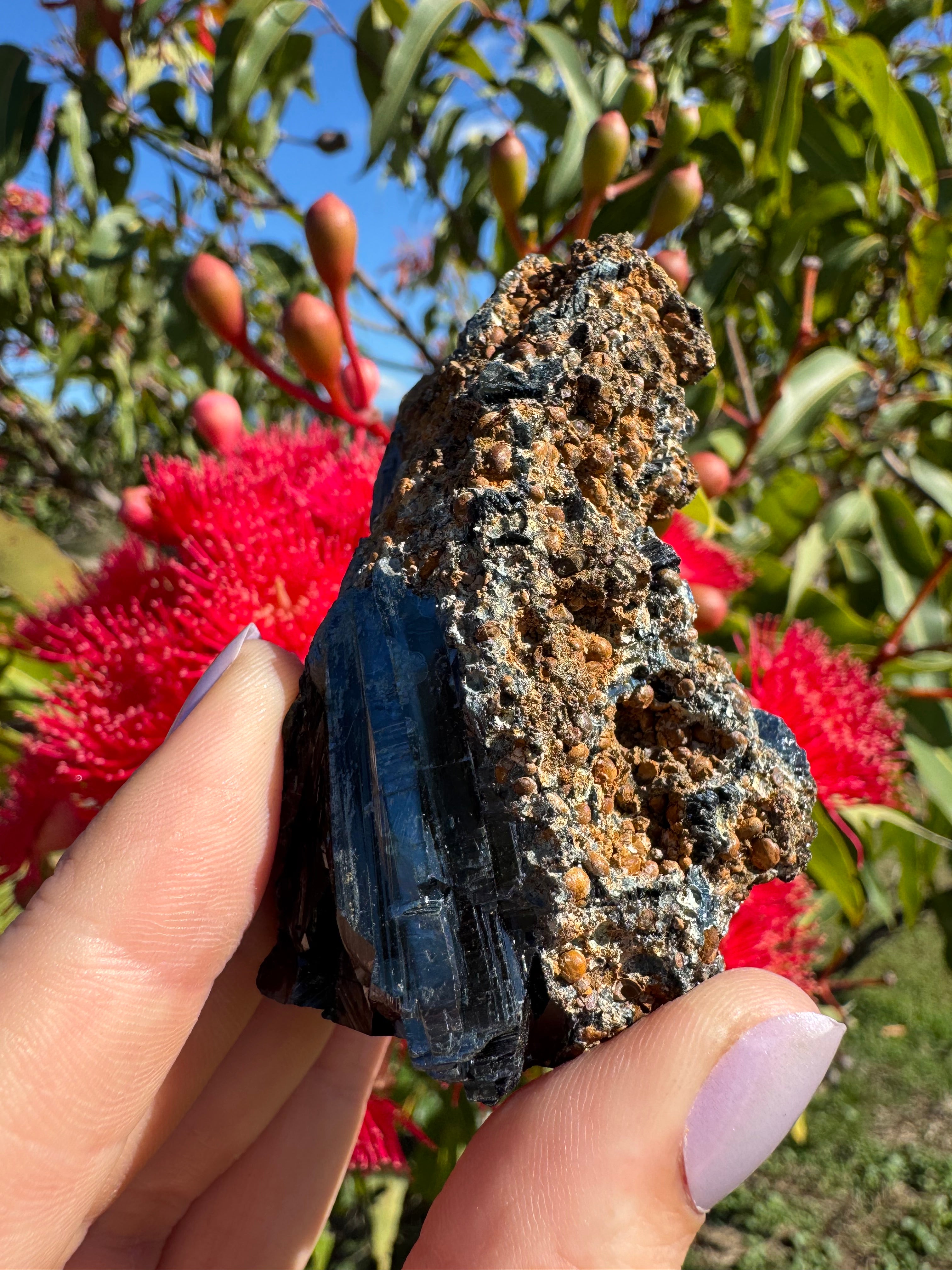 Vivianite on Matrix Specimen
