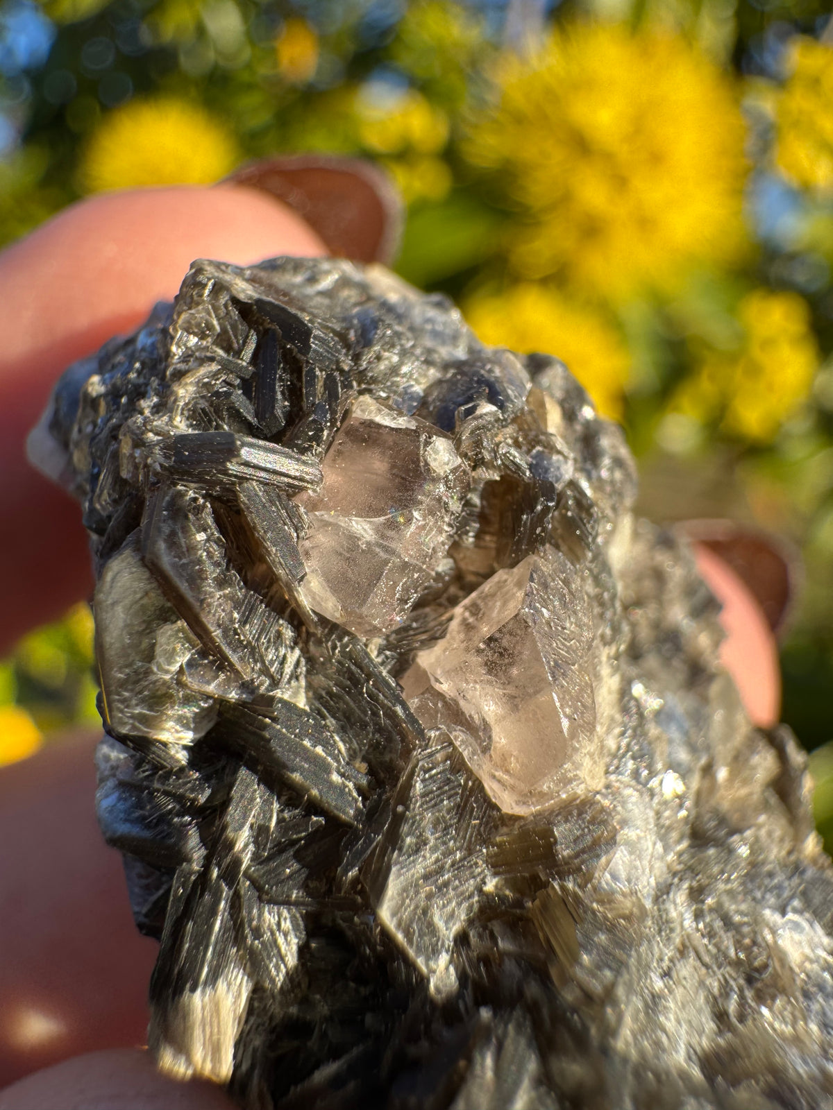Pink Apatite On Mica Matrix Specimen
