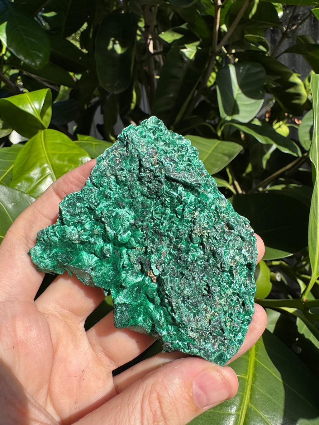 Malachite ‘Fibrous’ Specimen