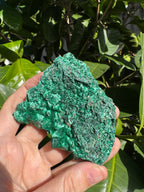 Malachite ‘Fibrous’ Specimen
