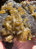 Golden Barite With Botryoidal Chocolate Calcite Specimen | 1.6kg
