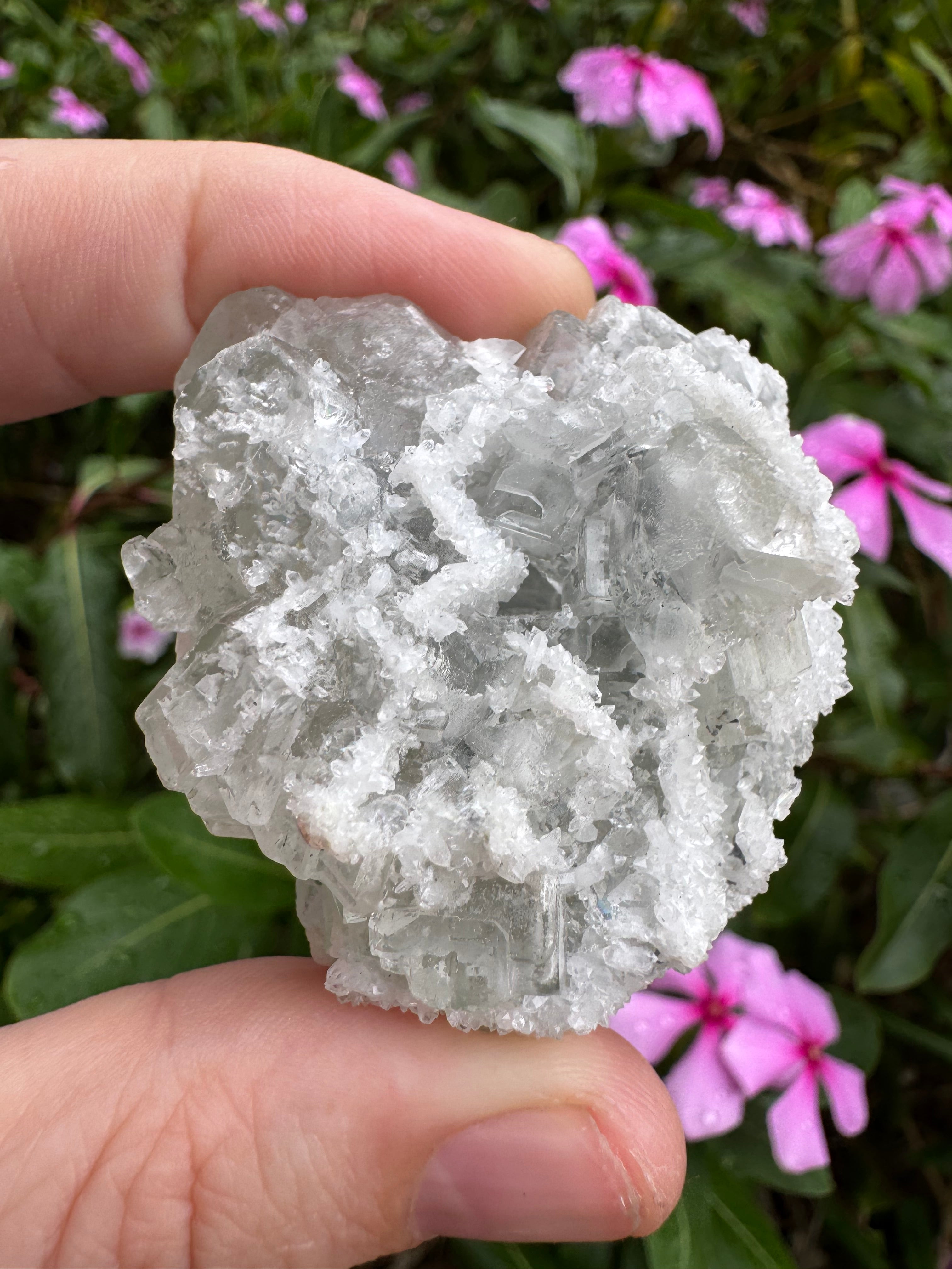 Sugar-Coated Cubic Fluorite Cluster
