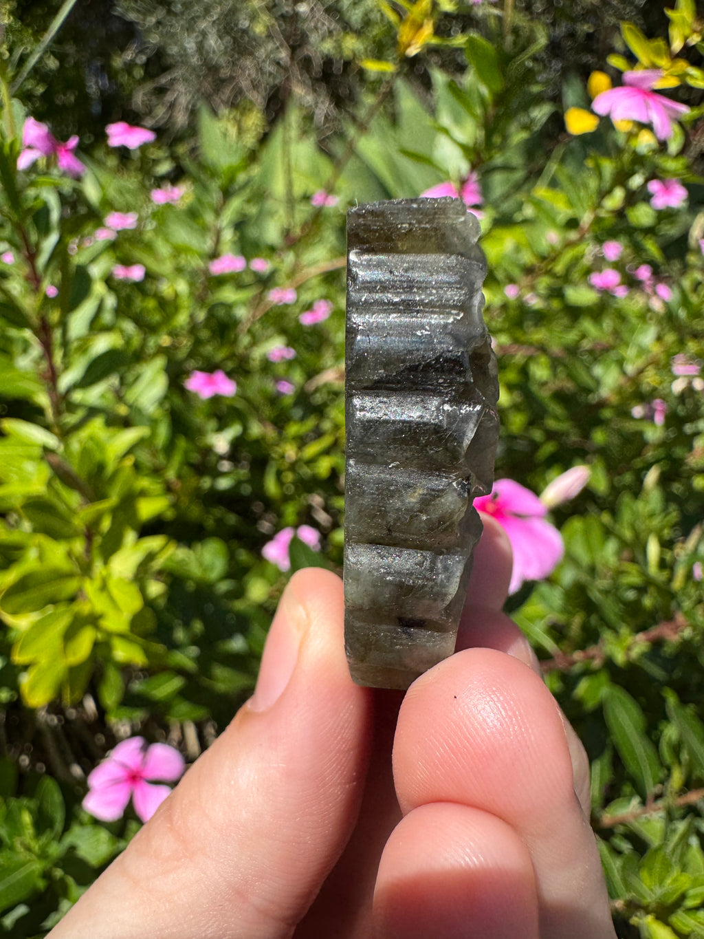 Labradorite Butterfly Carving
