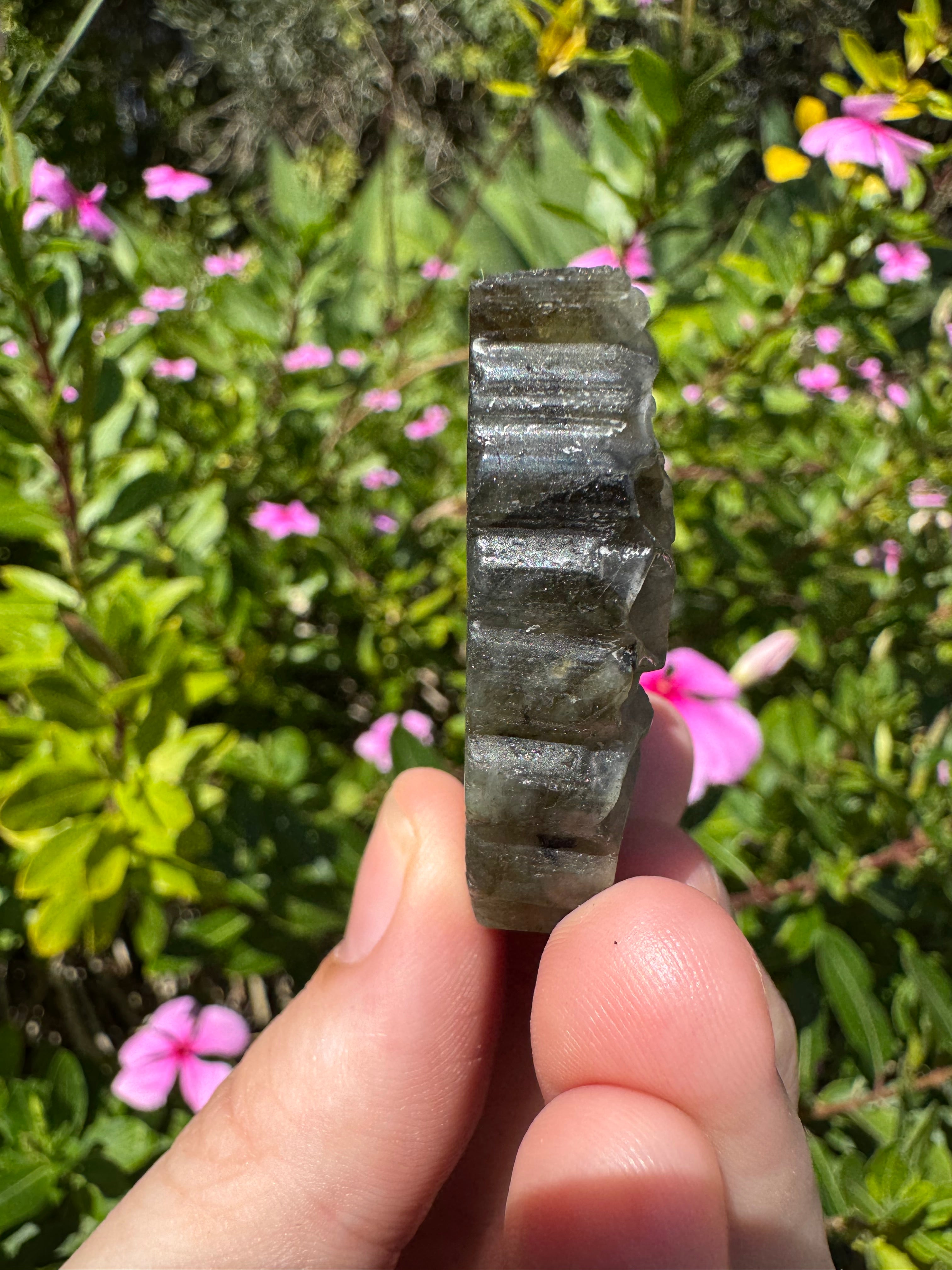 Labradorite Butterfly Carving