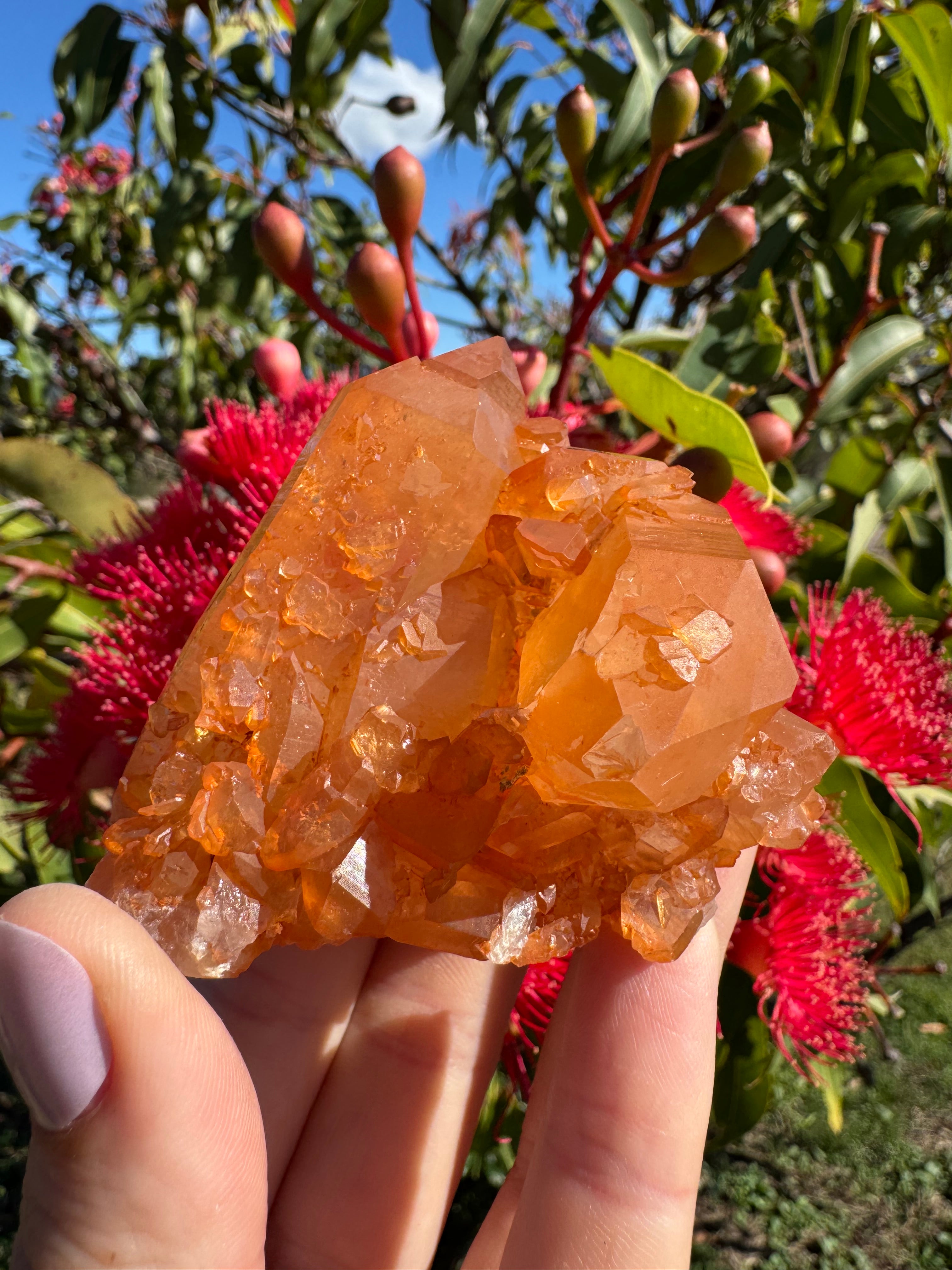 Tangerine Quartz Cluster