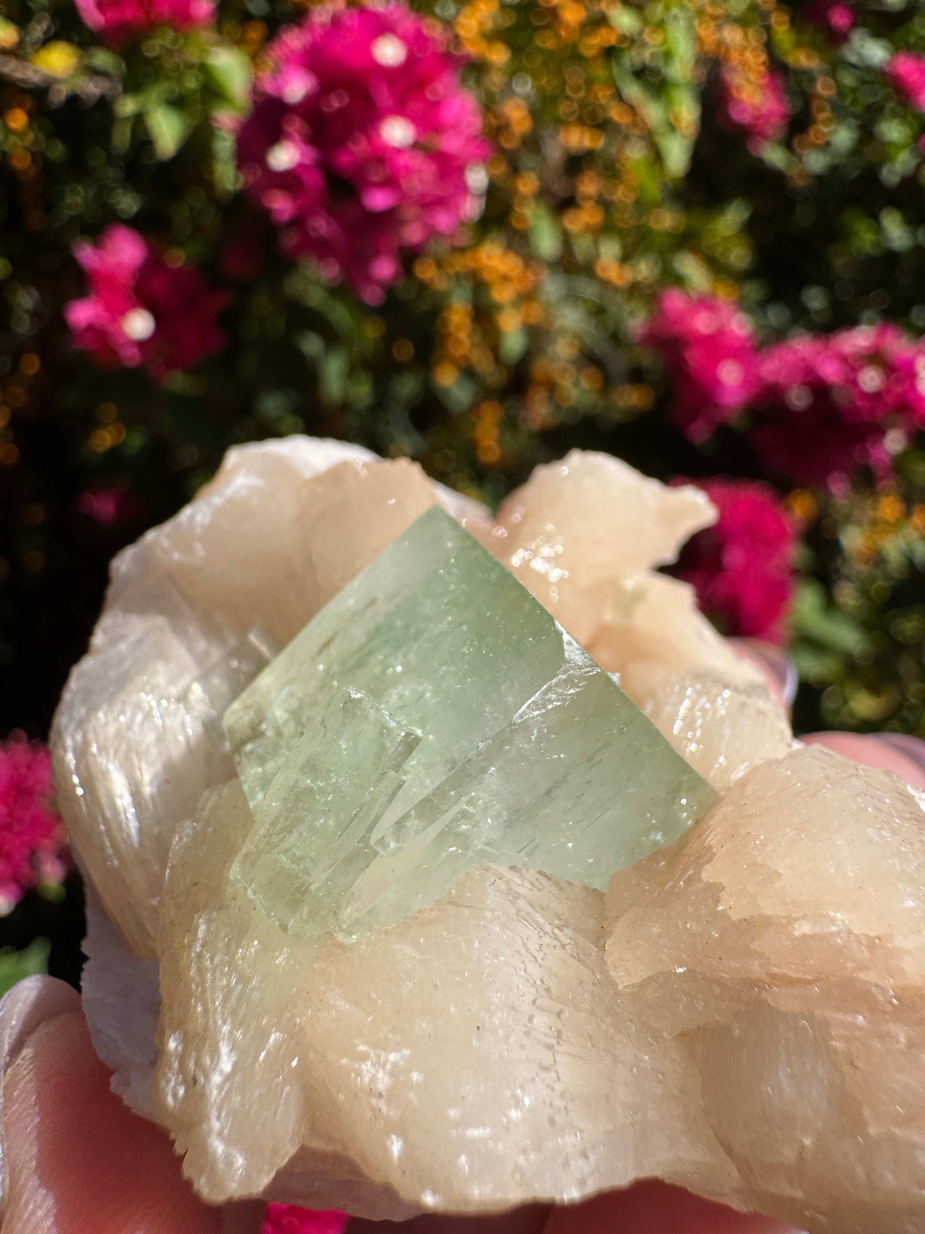 Green ‘Cube’ Apophyllite Specimen