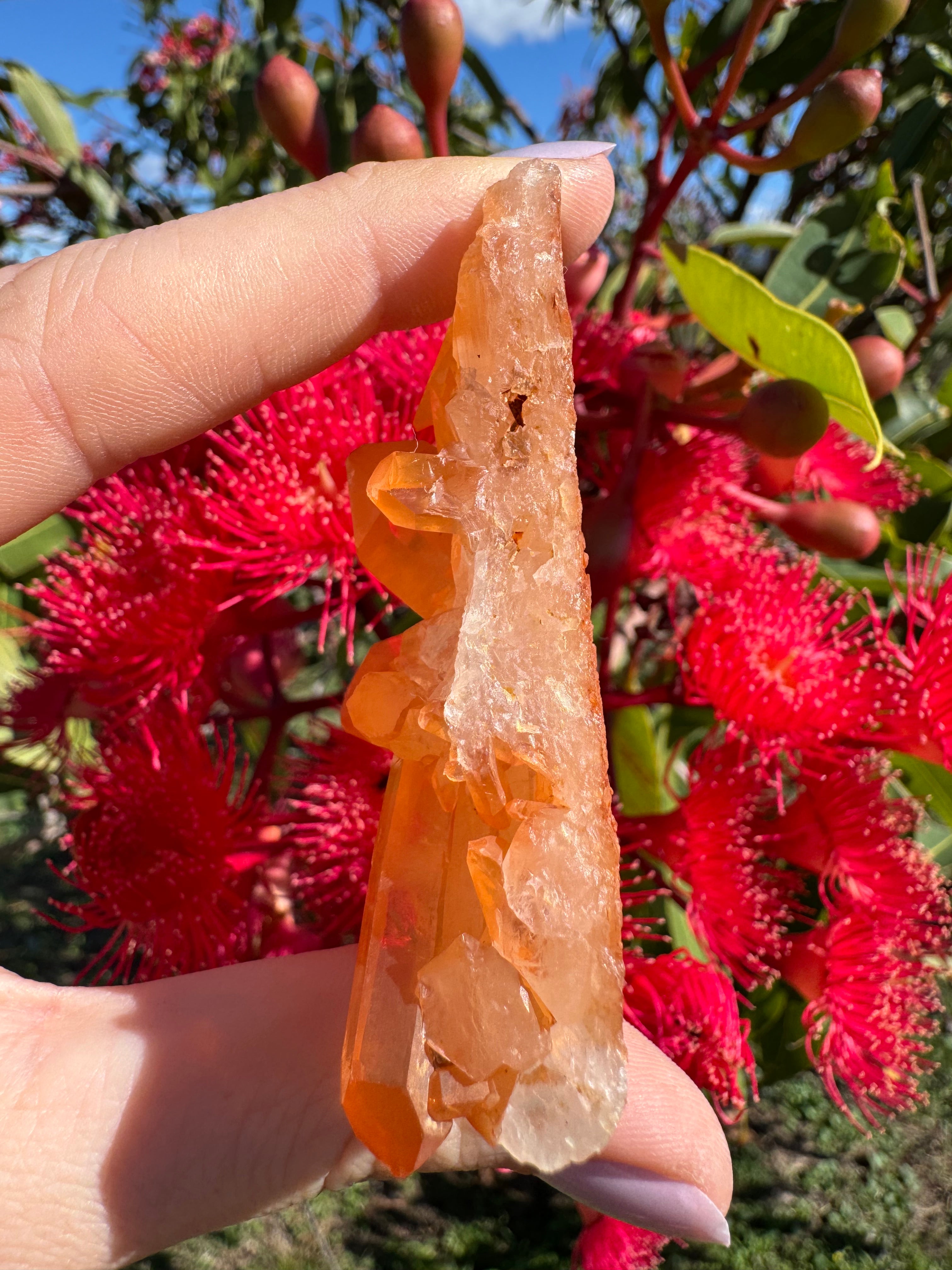 Tangerine Quartz Cluster