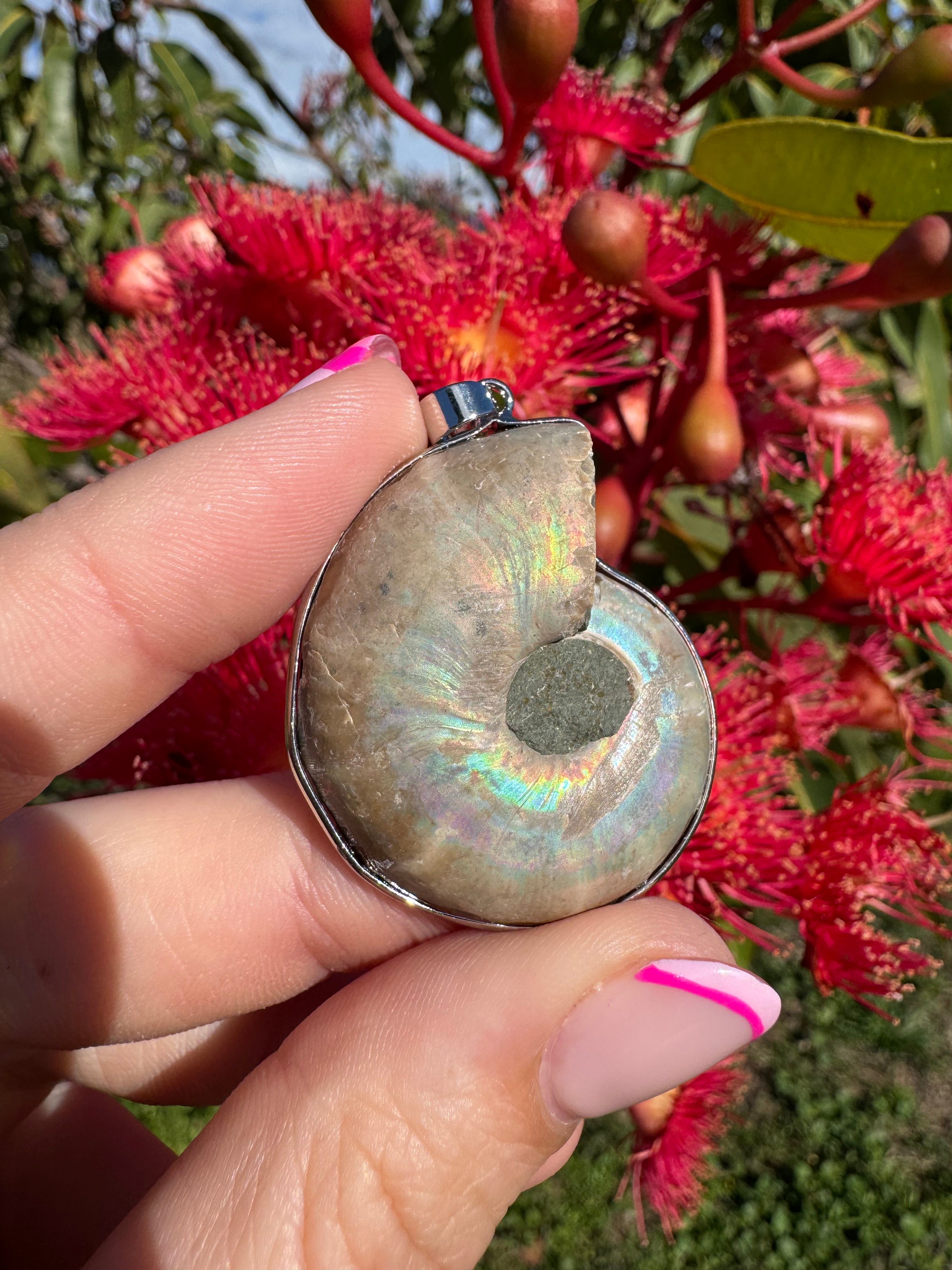 Opalised Ammonite Fossil Pendant