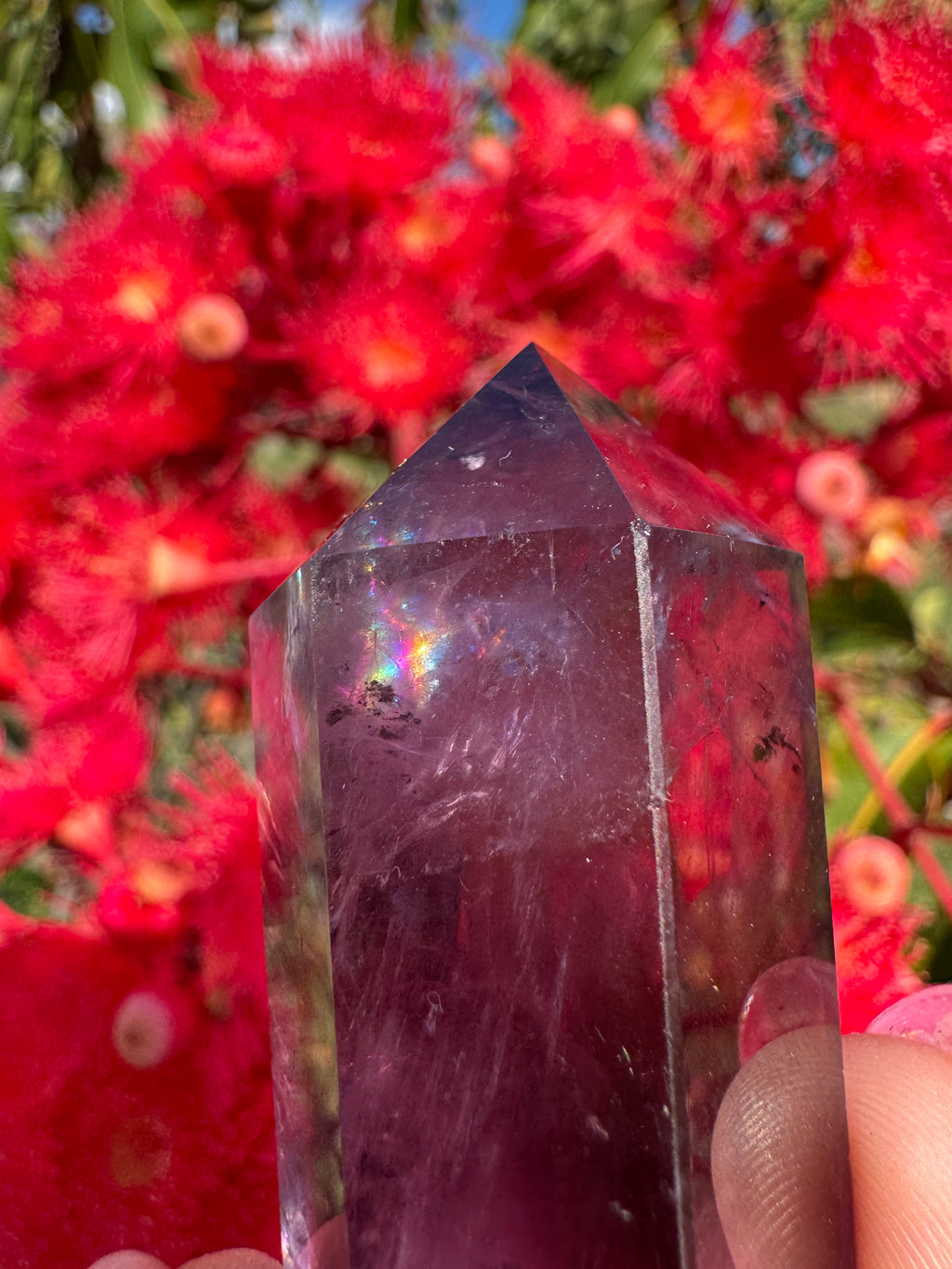 Amethyst Double Terminated Point