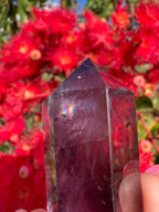Amethyst Double Terminated Point