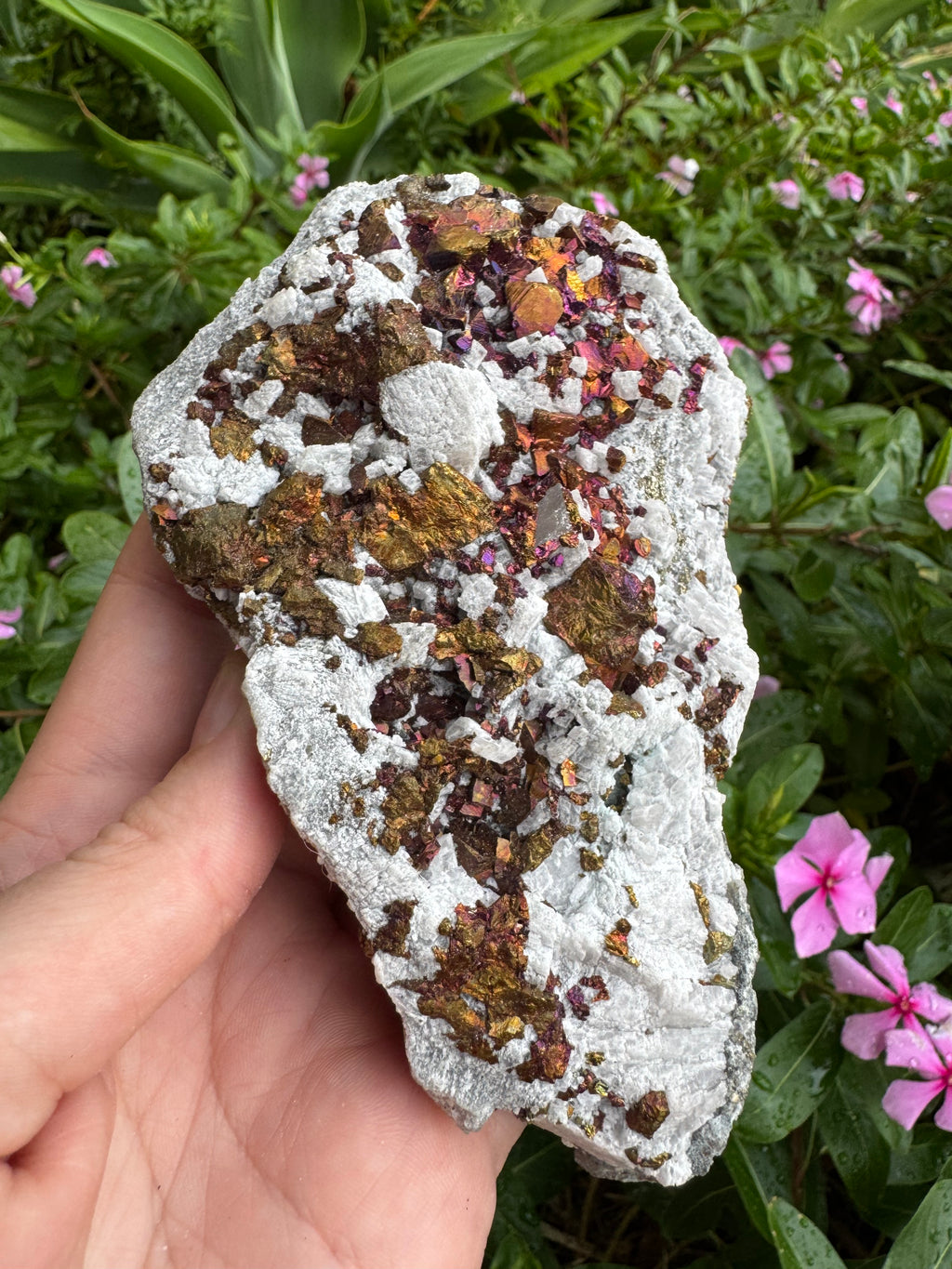 Chalcopyrite + UV Mangano Calcite Specimen