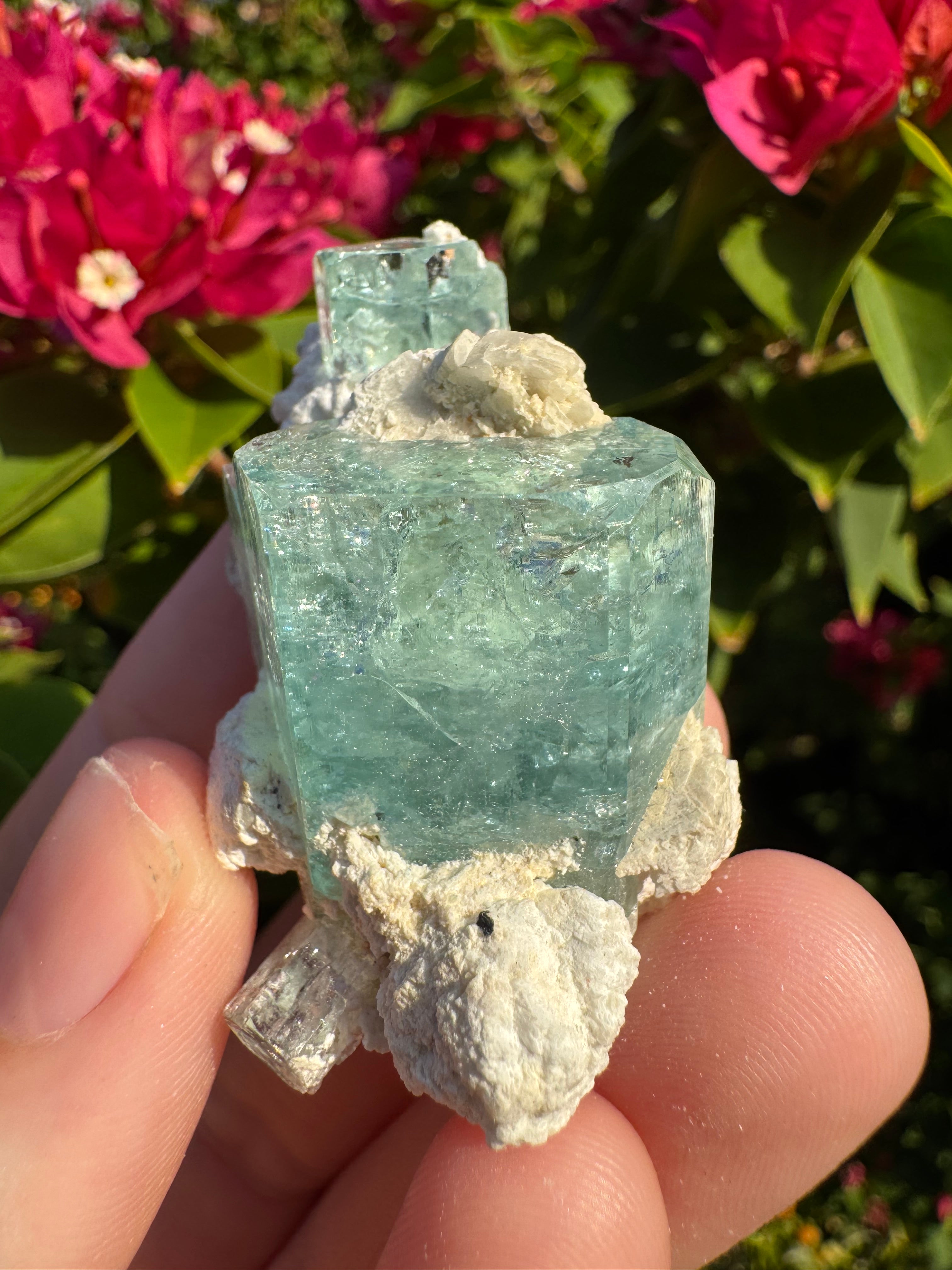Eronga Aquamarine Specimen - High Quality