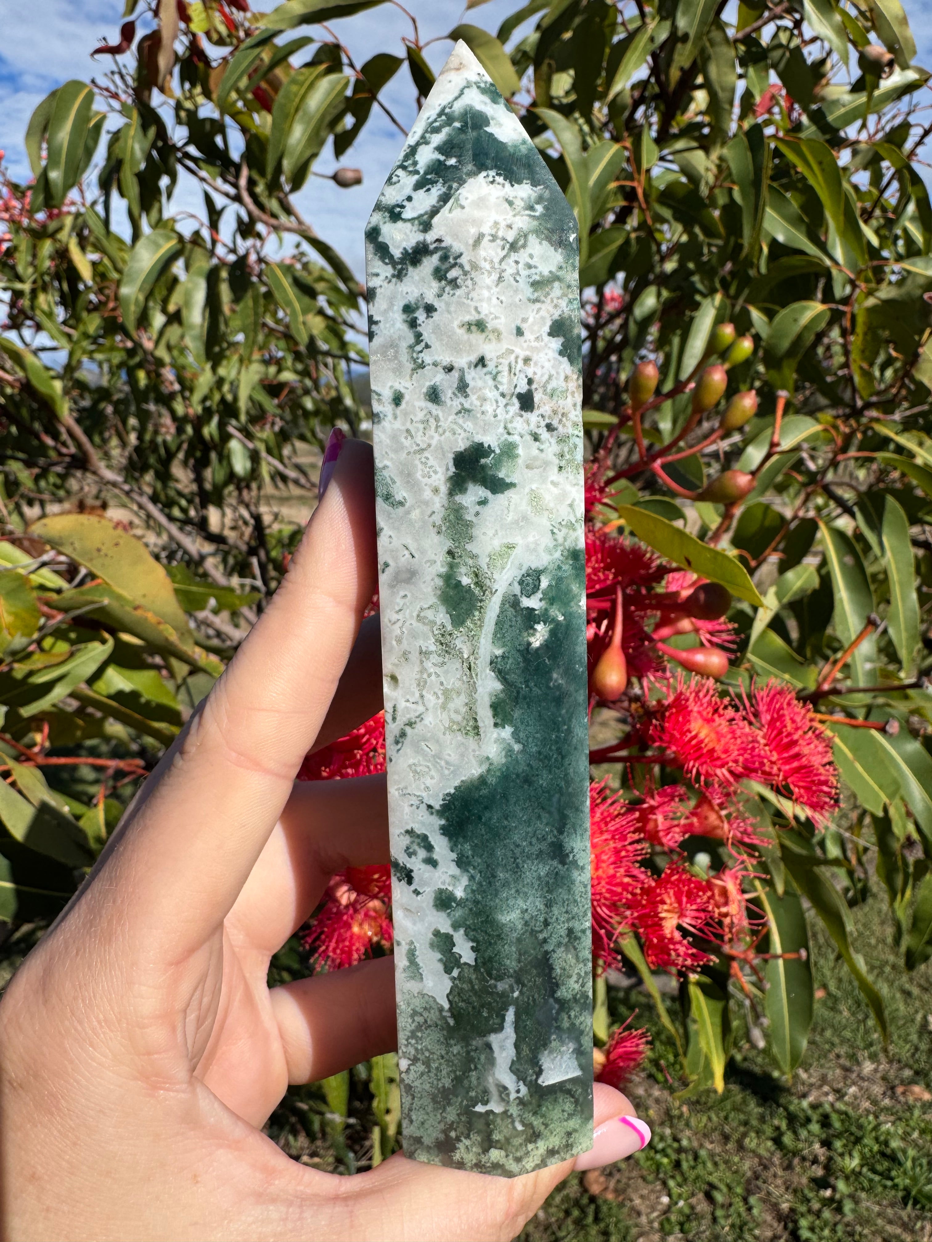 Tree Agate Generator