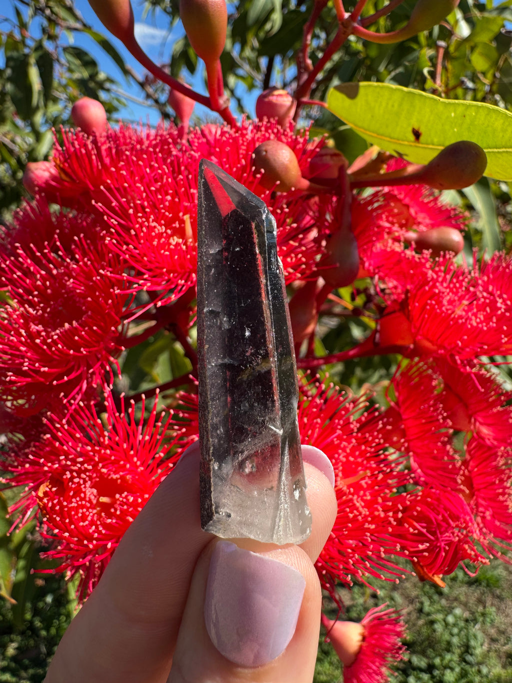 Hematite Coated Quartz Point