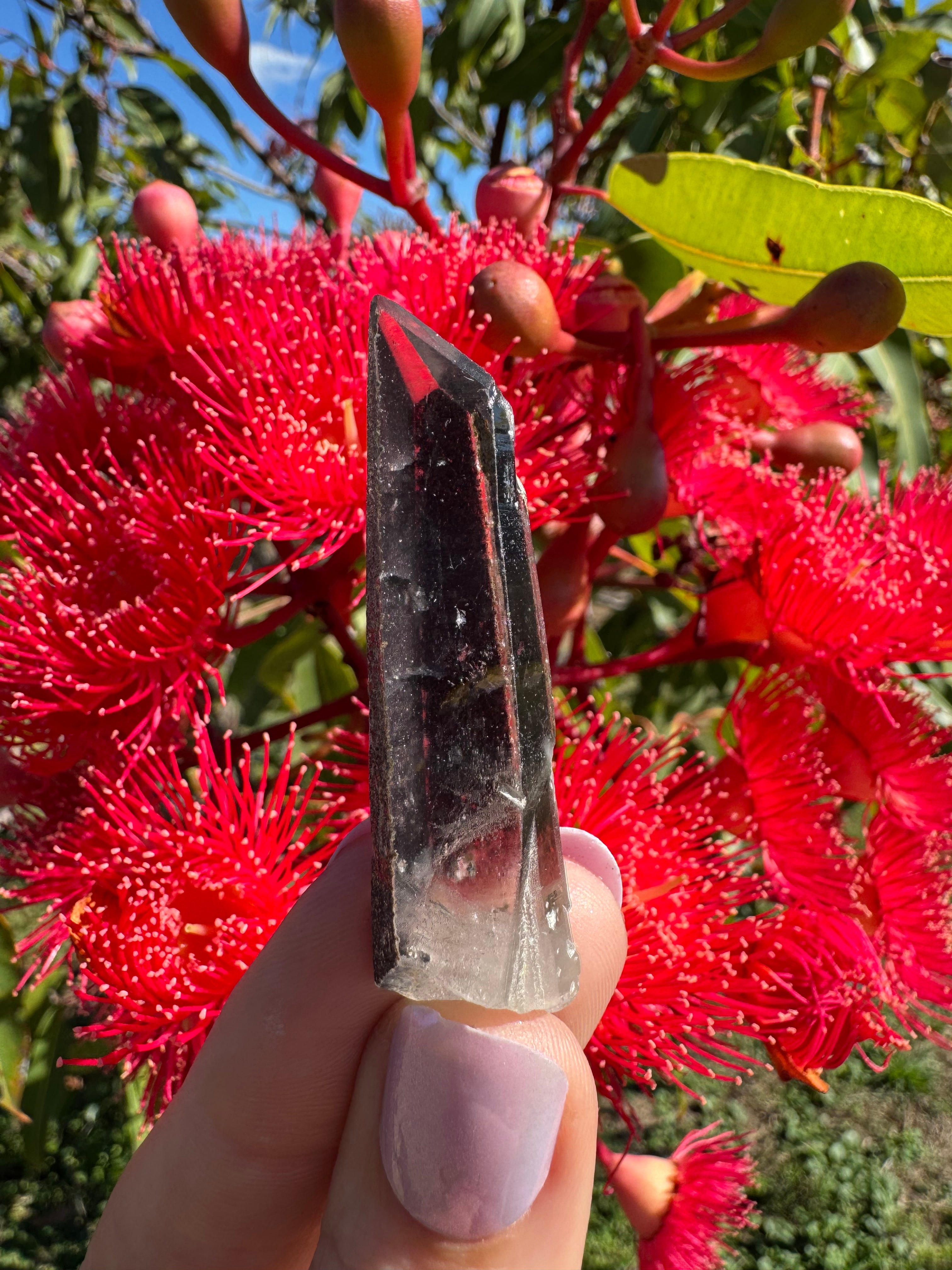 Hematite Coated Quartz Point