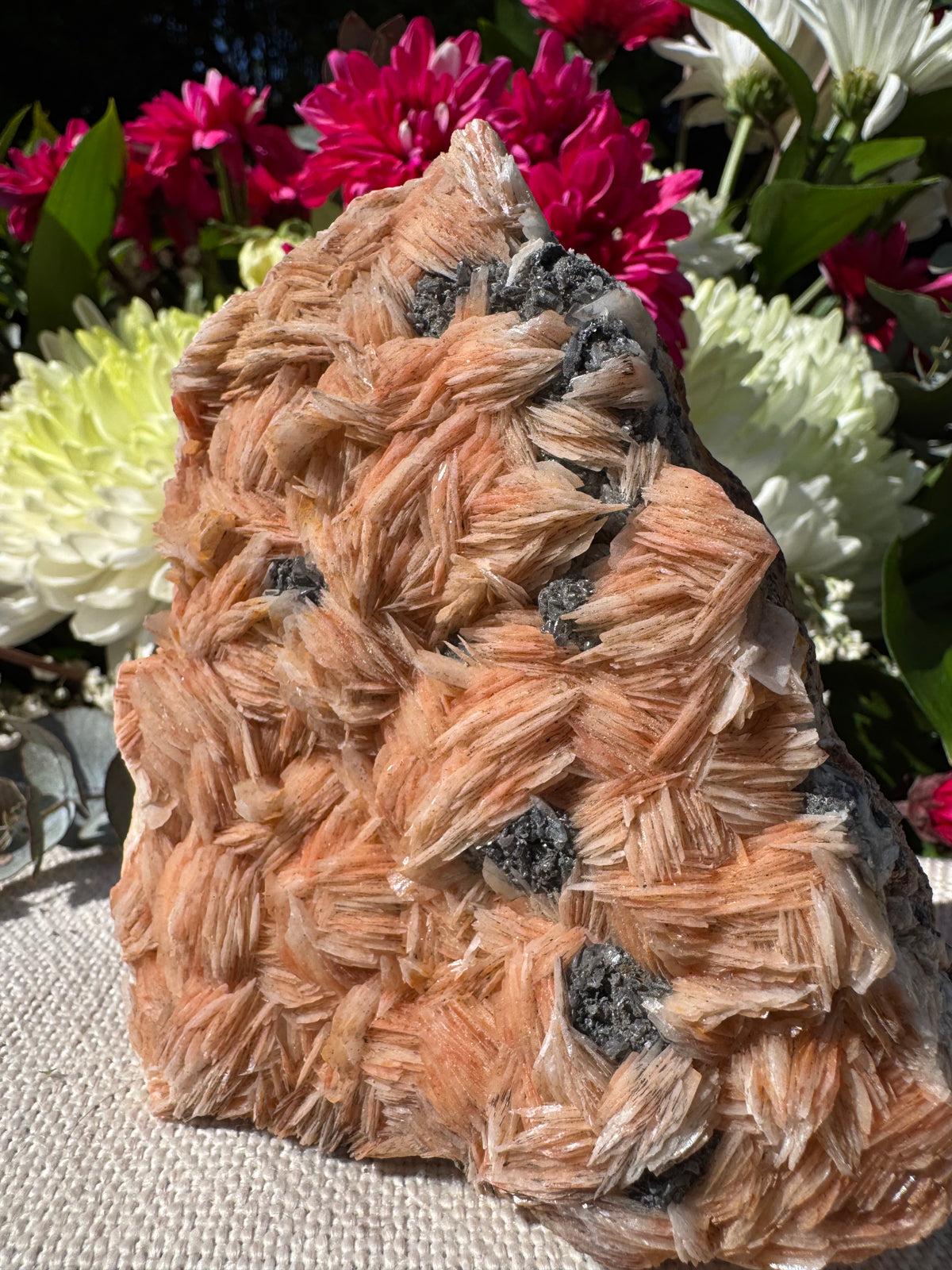 Calcite With Barite and Galena Specimen