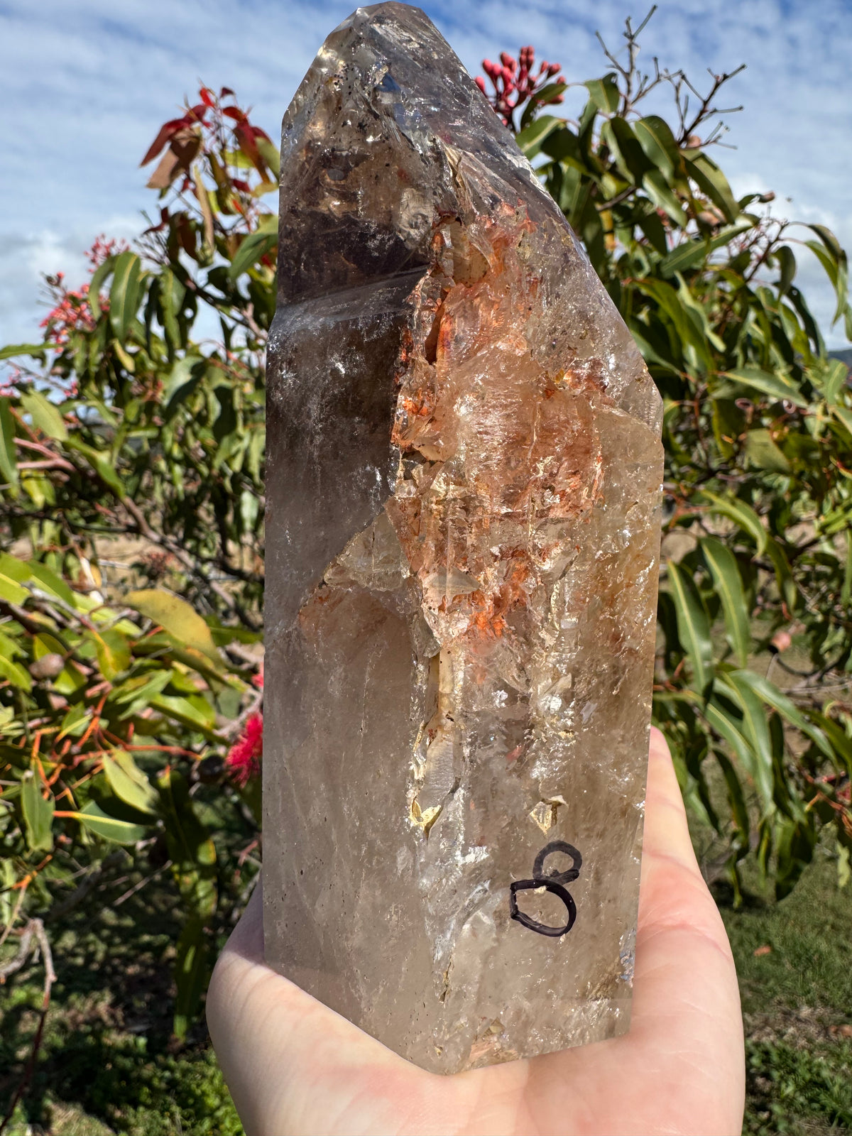 Rare Windowed Included Smoky Quartz Freeform - Triple Enhydro