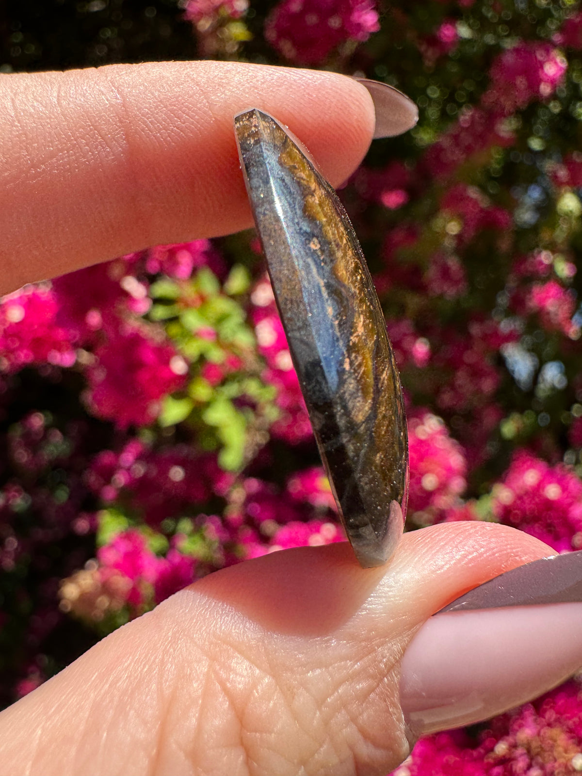 Tigers Eye Cabachon | Hamersley Ranges