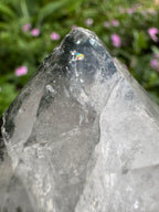 Silver Garden Quartz with Actinolite Inclusions Point
