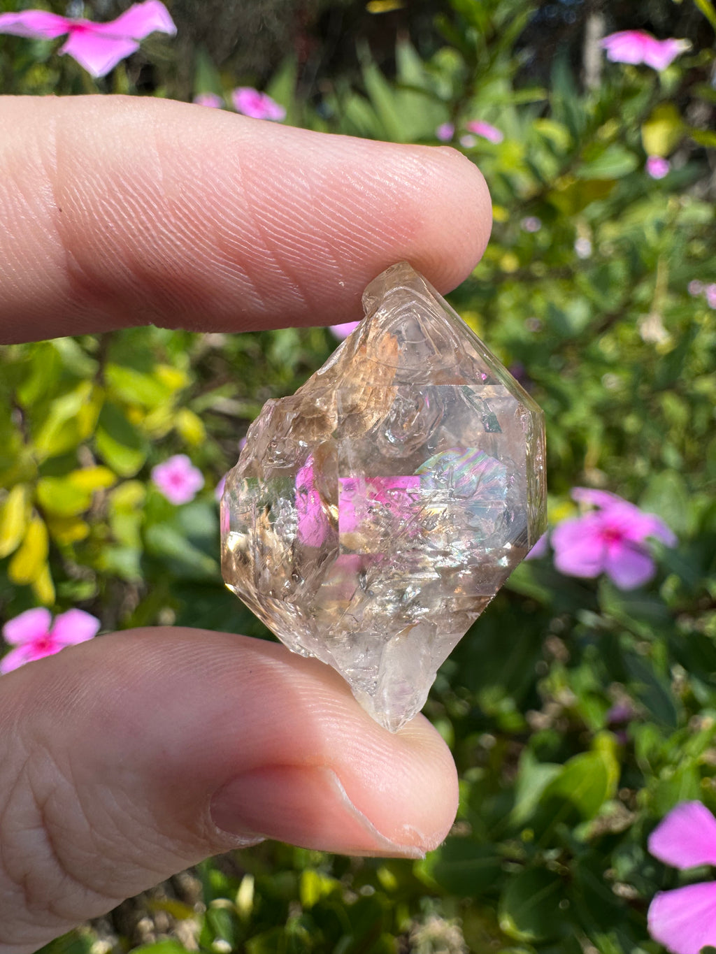 Brandberg Clear Quartz Specimen