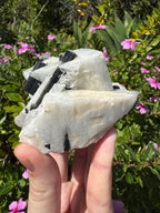 Black Tourmaline in Quartz Specimen