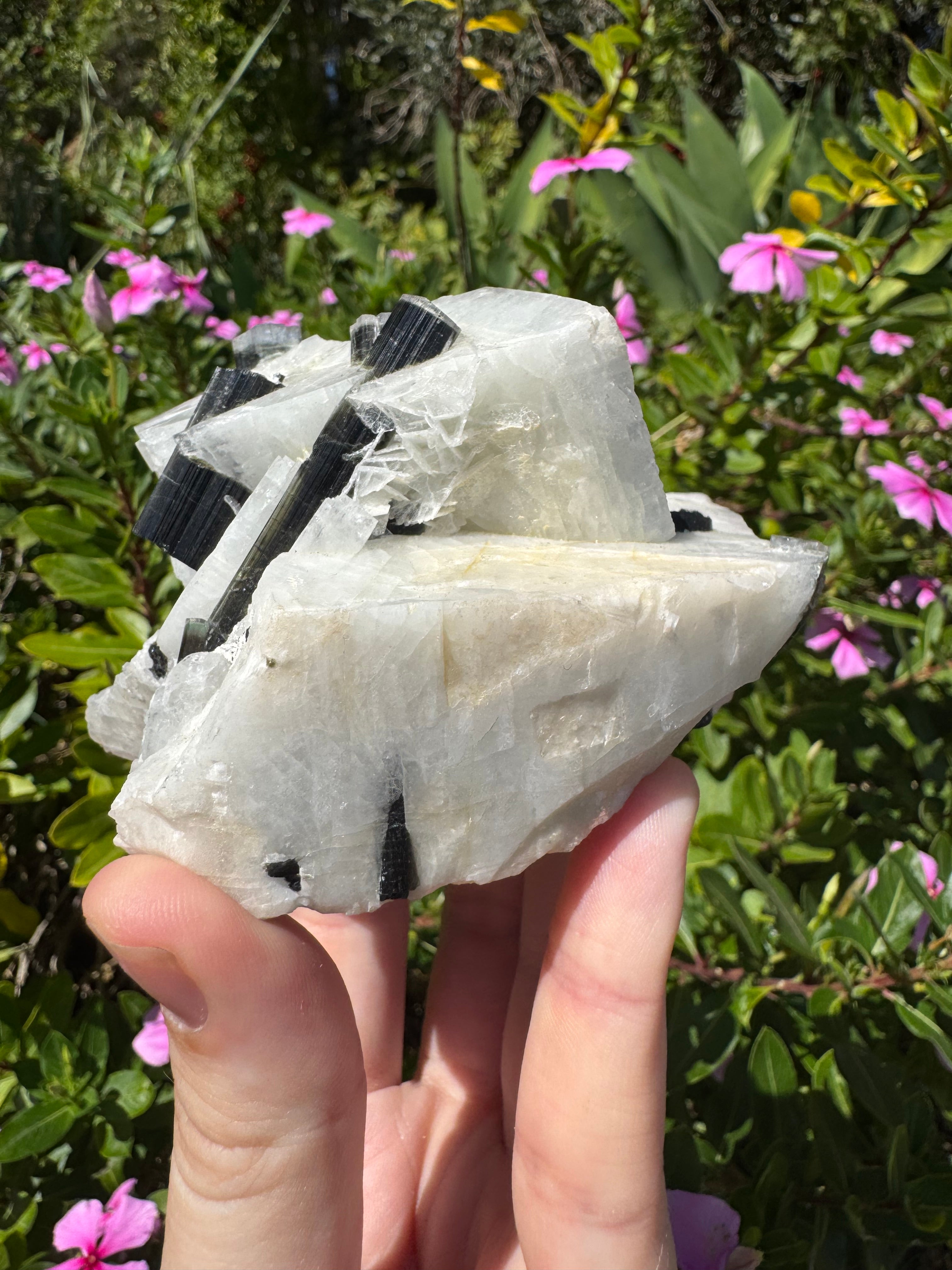 Black Tourmaline in Quartz Specimen