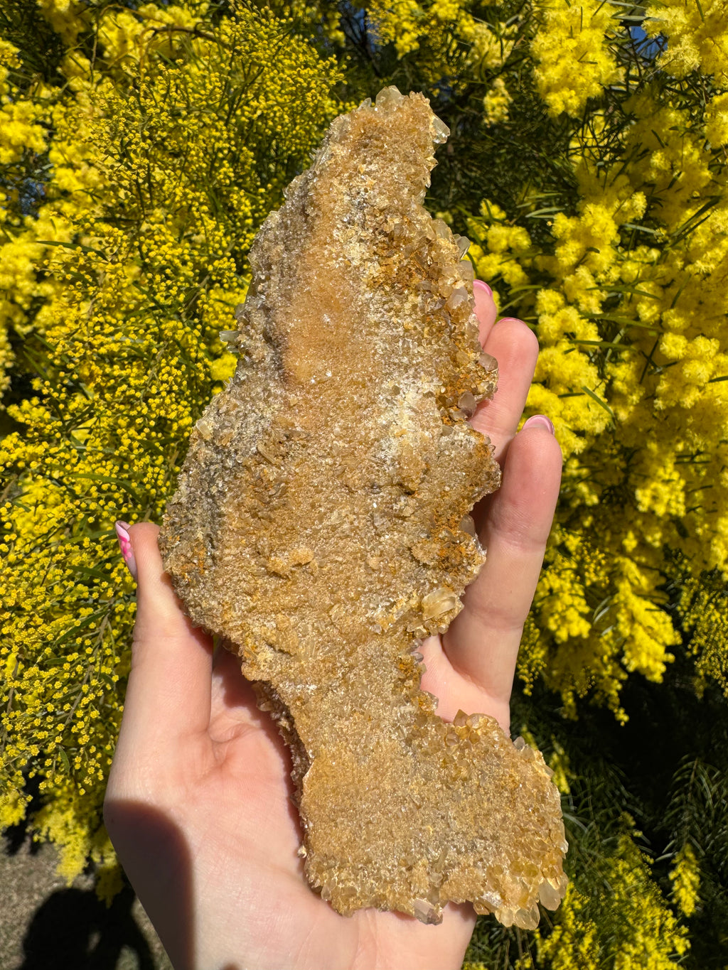 Golden Healer Quartz Floater Cluster with Multiple DT Crystals - High Quality