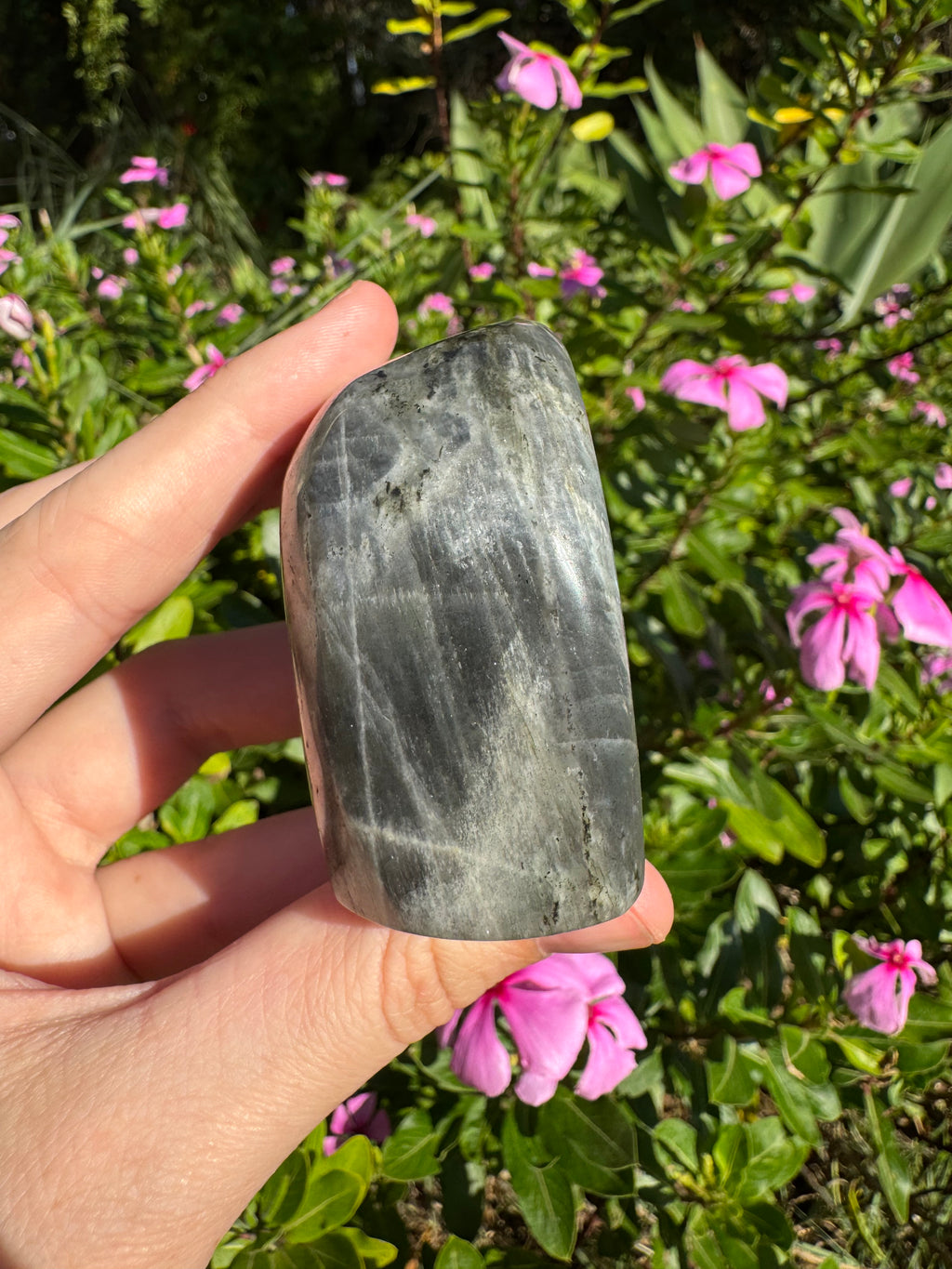 Labradorite Standing Freeform