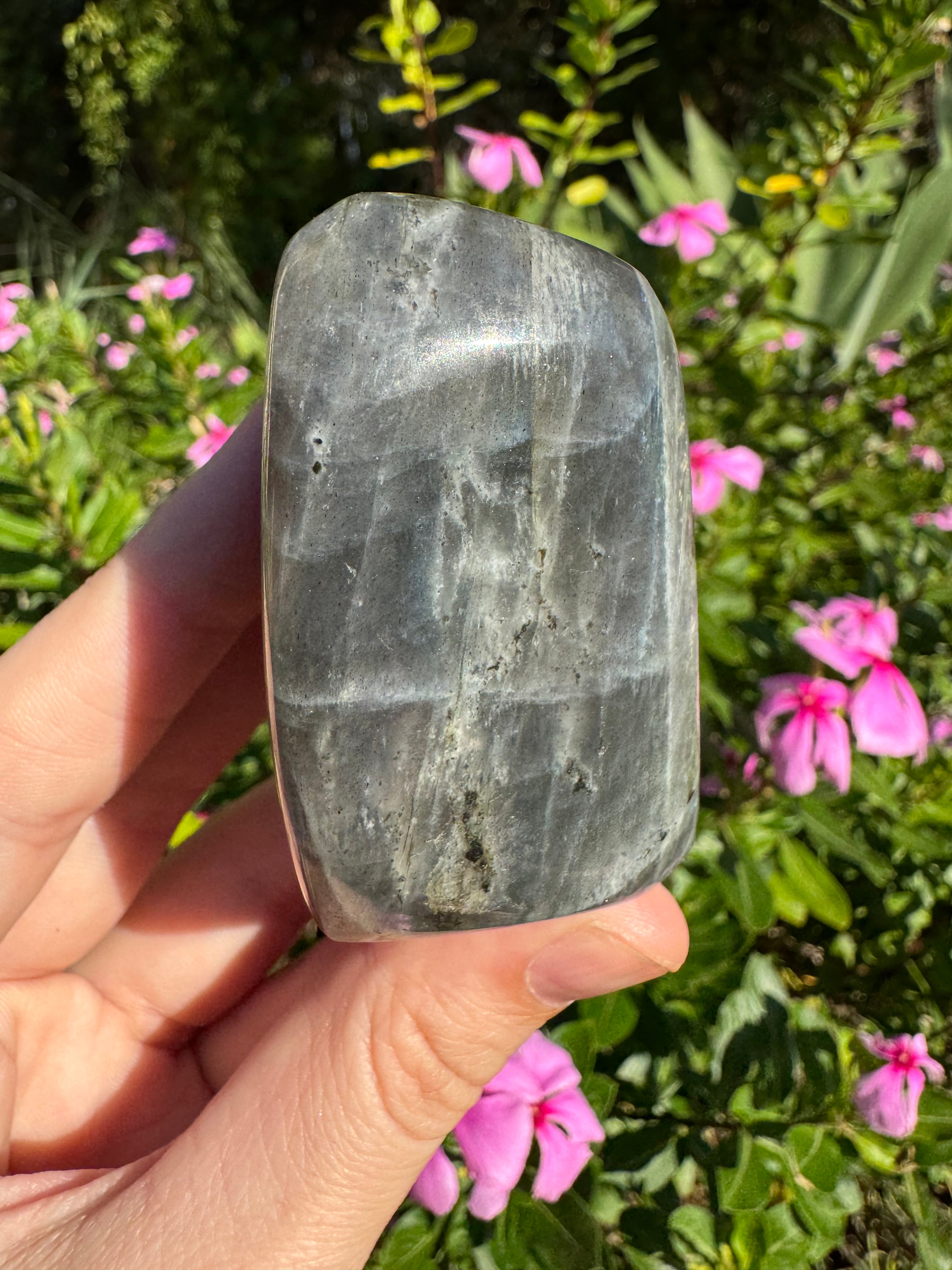 Labradorite Standing Freeform