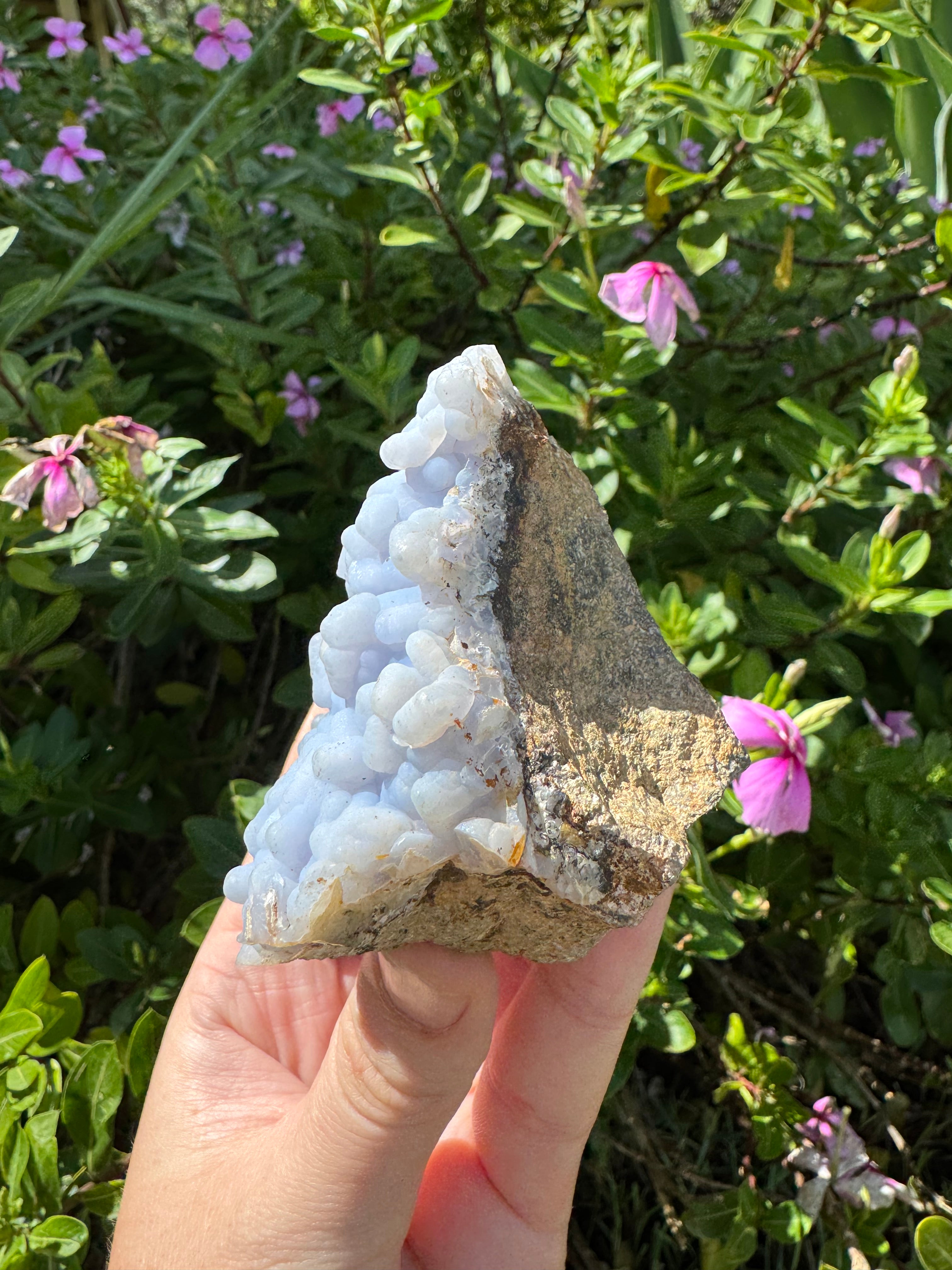 Angelite ‘Botryoidal’ Cluster Specimen