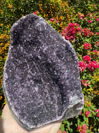 Amethyst Druzy Standing Geode
 - 2.362kg