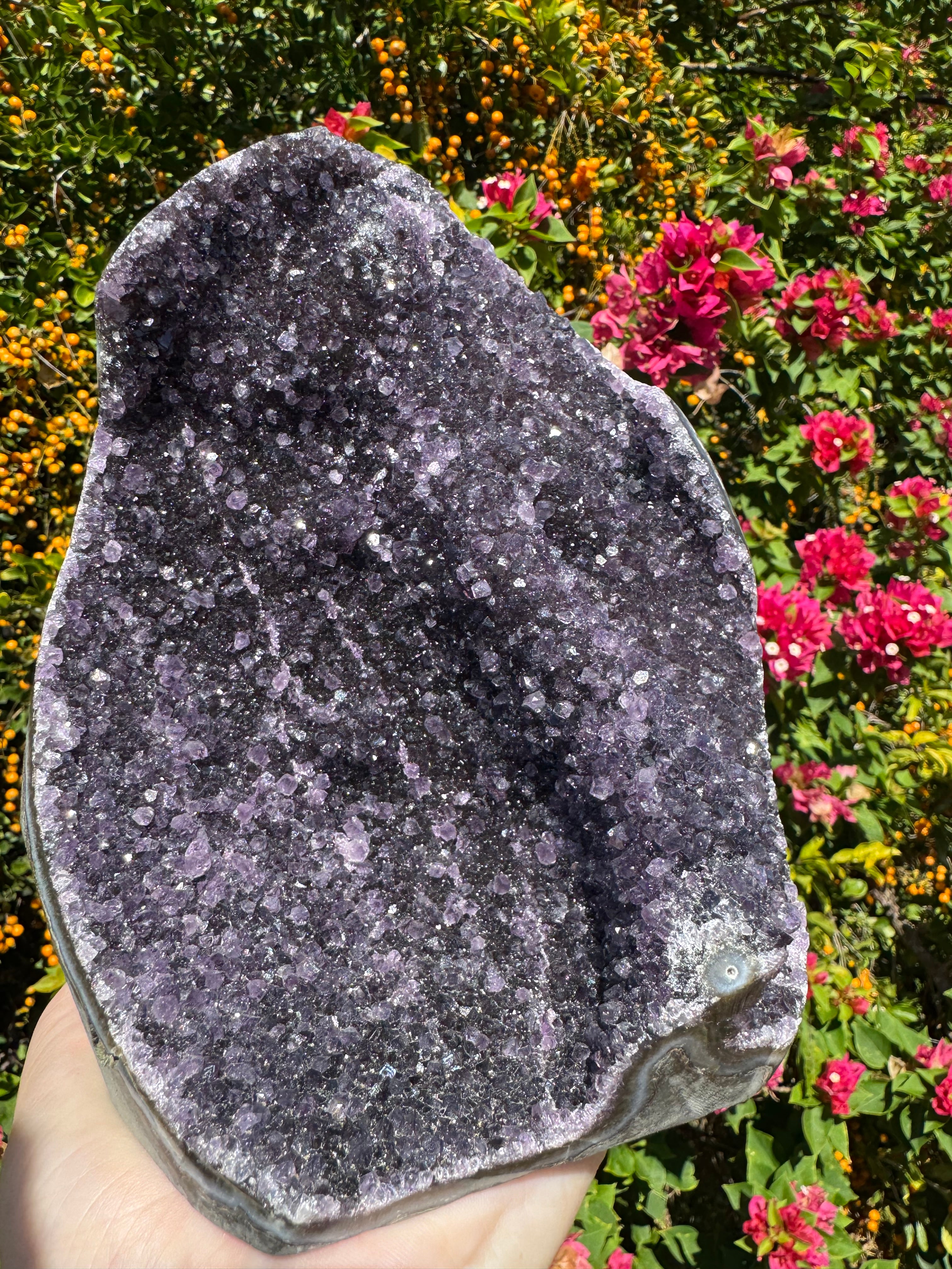 Amethyst Druzy Standing Geode
 - 2.362kg