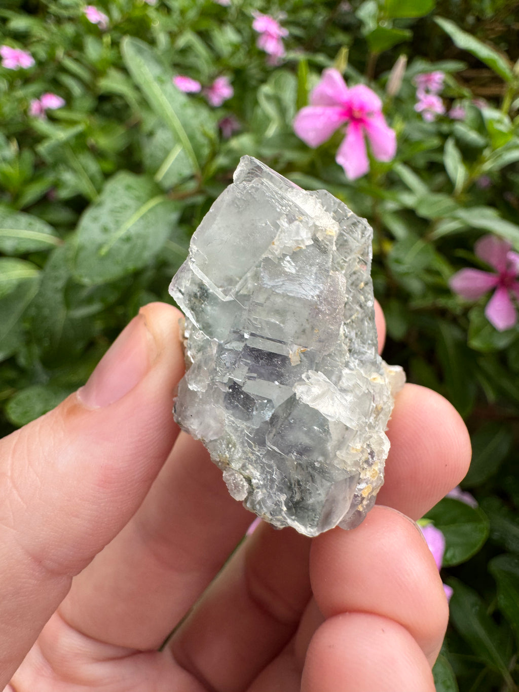 Blue Cubic Fluorite Cluster