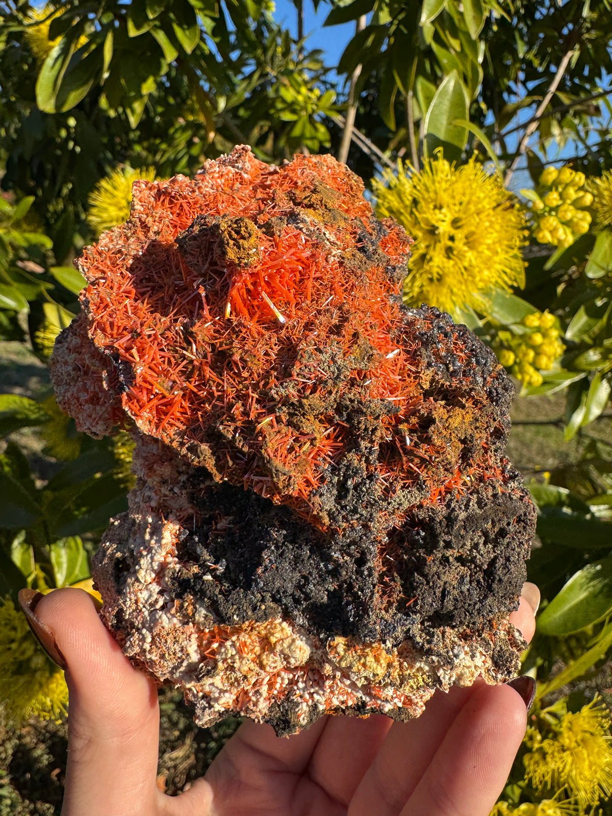 Crocoite Specimen | Tasmania