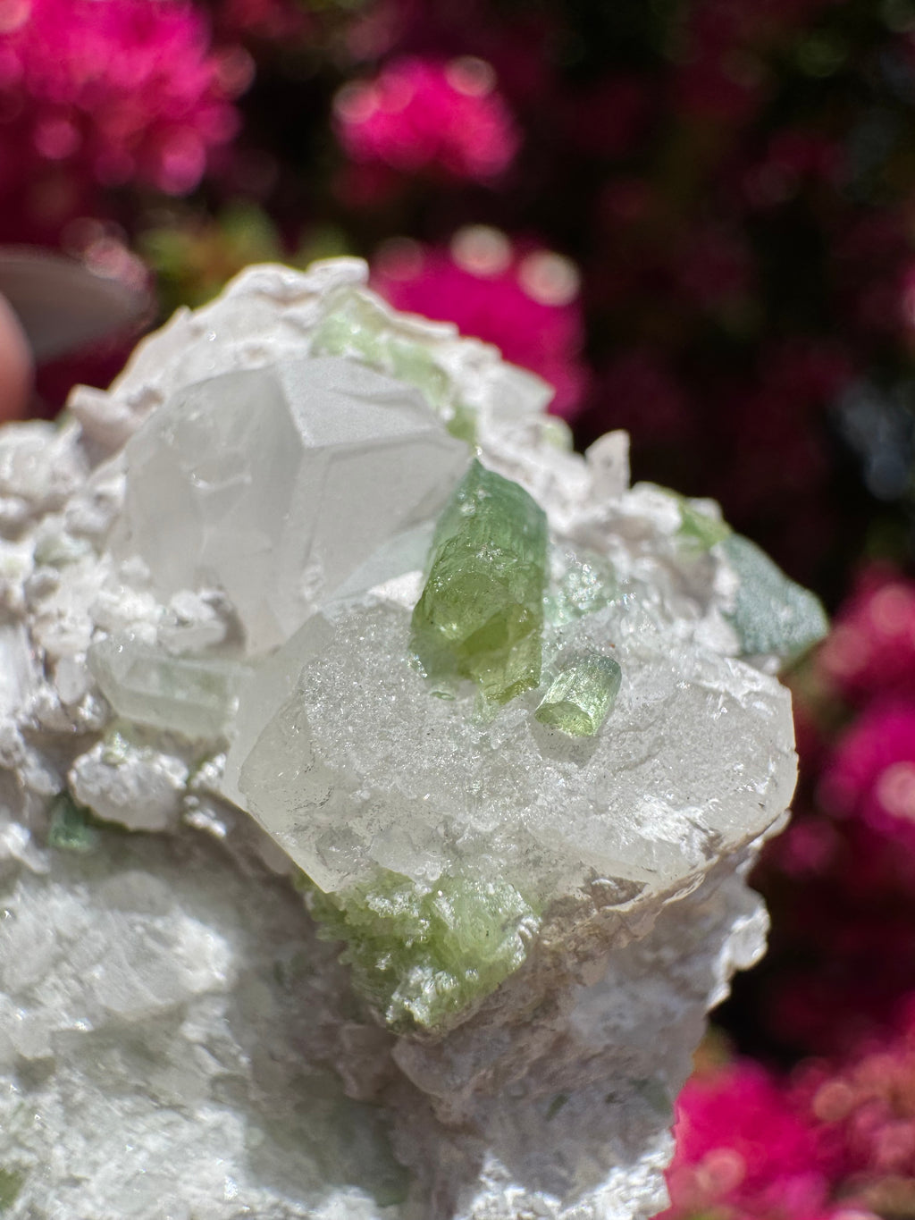 Spécimen de tourmaline verte avec kunzite sur matrice d'albite