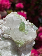Spécimen de tourmaline verte avec kunzite sur matrice d'albite