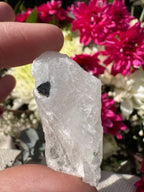 Green Capped Tourmaline in Quartz Specimen
