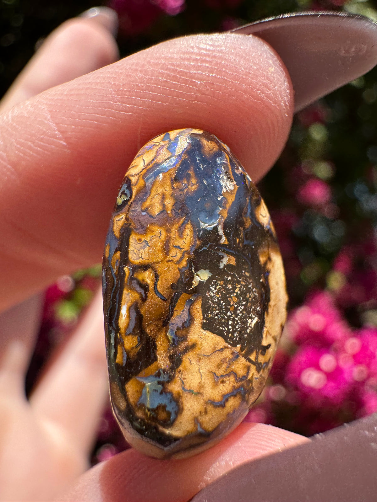 Polished Boulder Opal | Karoit