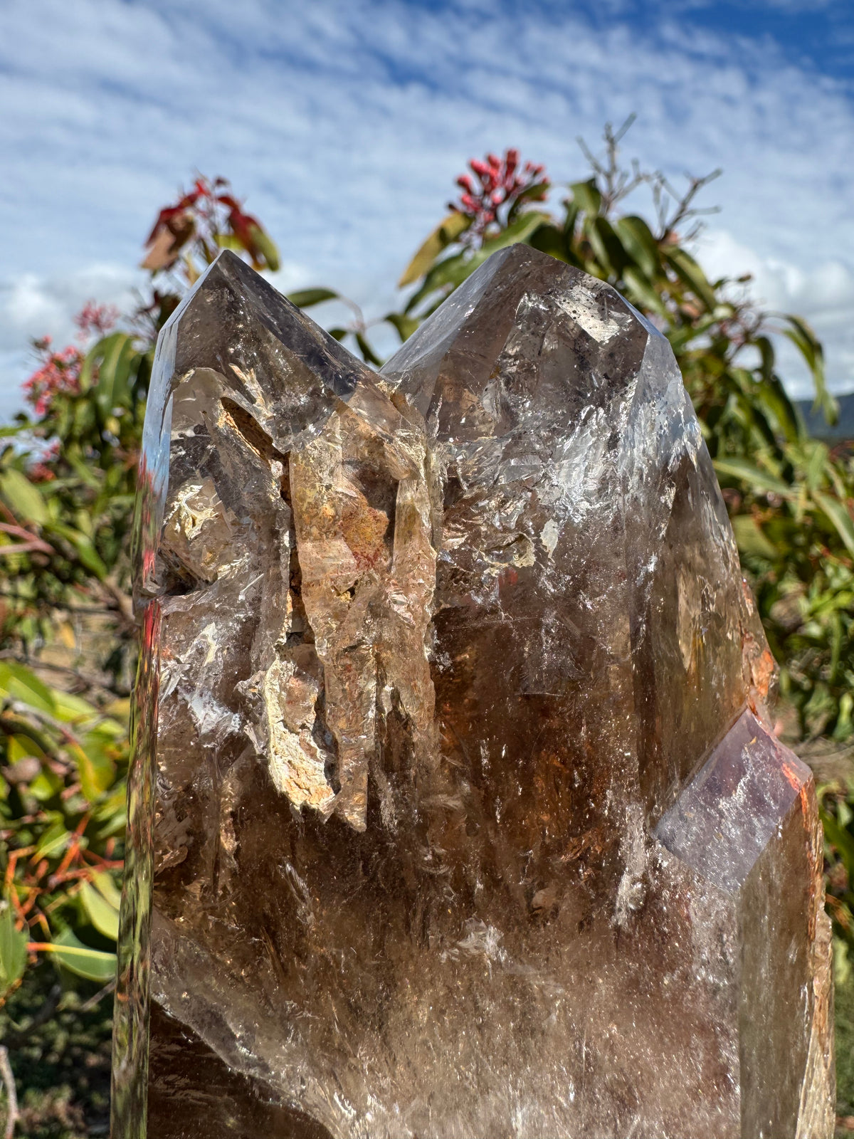 Rare Windowed Included Smoky Quartz Freeform - Triple Enhydro
