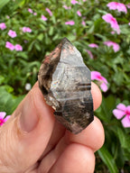 Mooralla Smoky Quartz Cluster