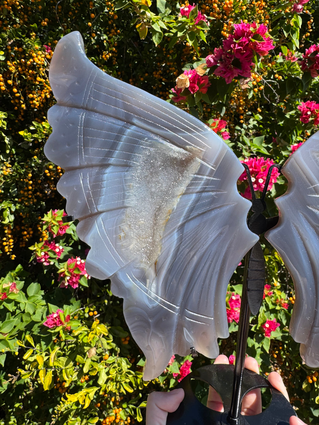 Druzy Agate Wings on Stand