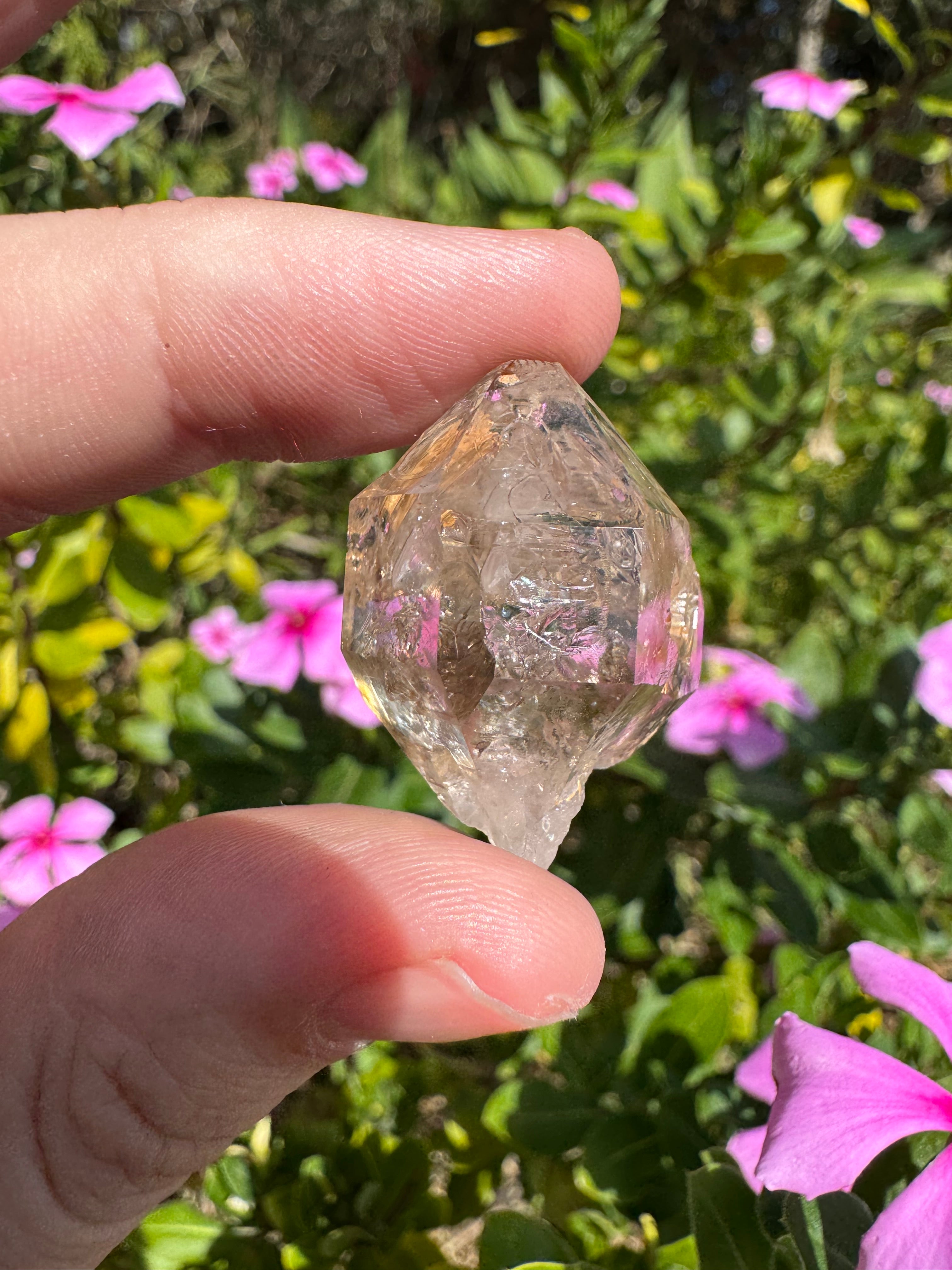Brandberg Clear Quartz Specimen