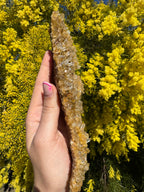 Golden Healer Quartz Floater Cluster with Multiple DT Crystals - High Quality
