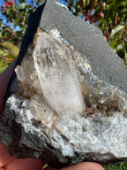 Amethyst Point in Basalt Matrix - Brandberg
