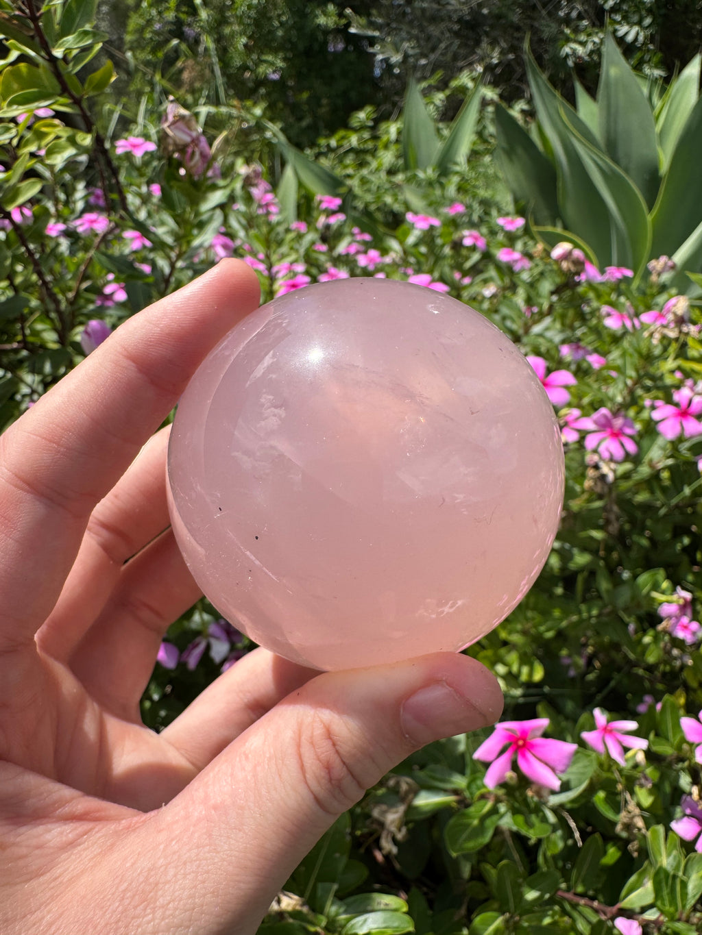 Rose Quartz Sphere with Asterism