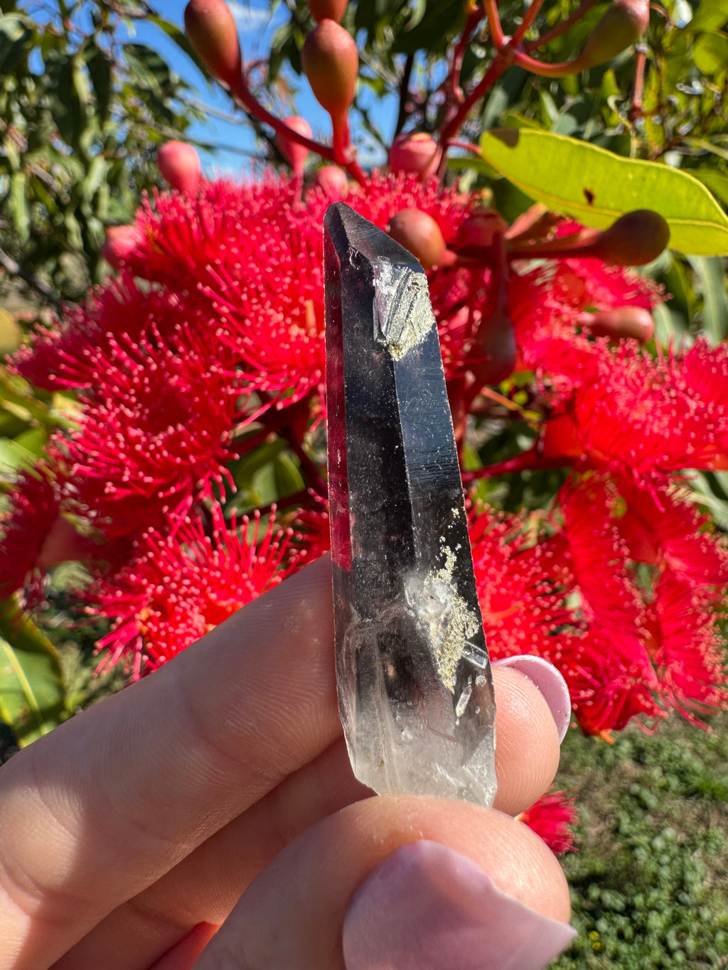 Hematite Coated Quartz Point