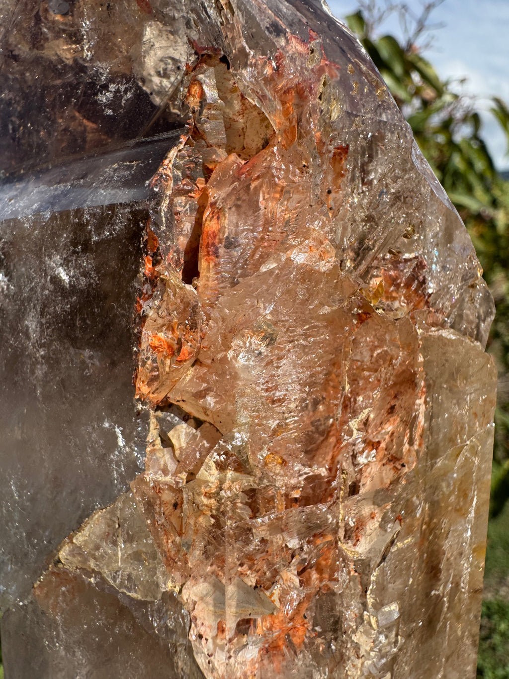 Rare Windowed Included Smoky Quartz Freeform - Triple Enhydro