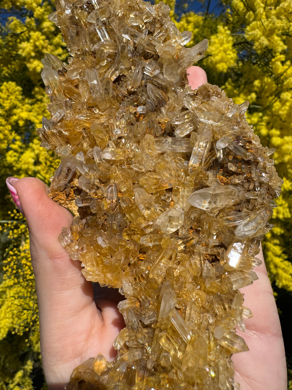 Golden Healer Quartz Floater Cluster with Multiple DT Crystals - High Quality