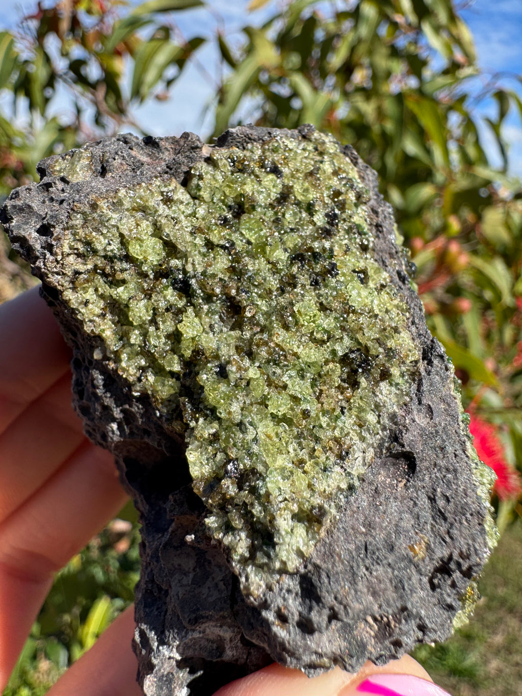 Peridot and Black Spinel On Matrix Specimen