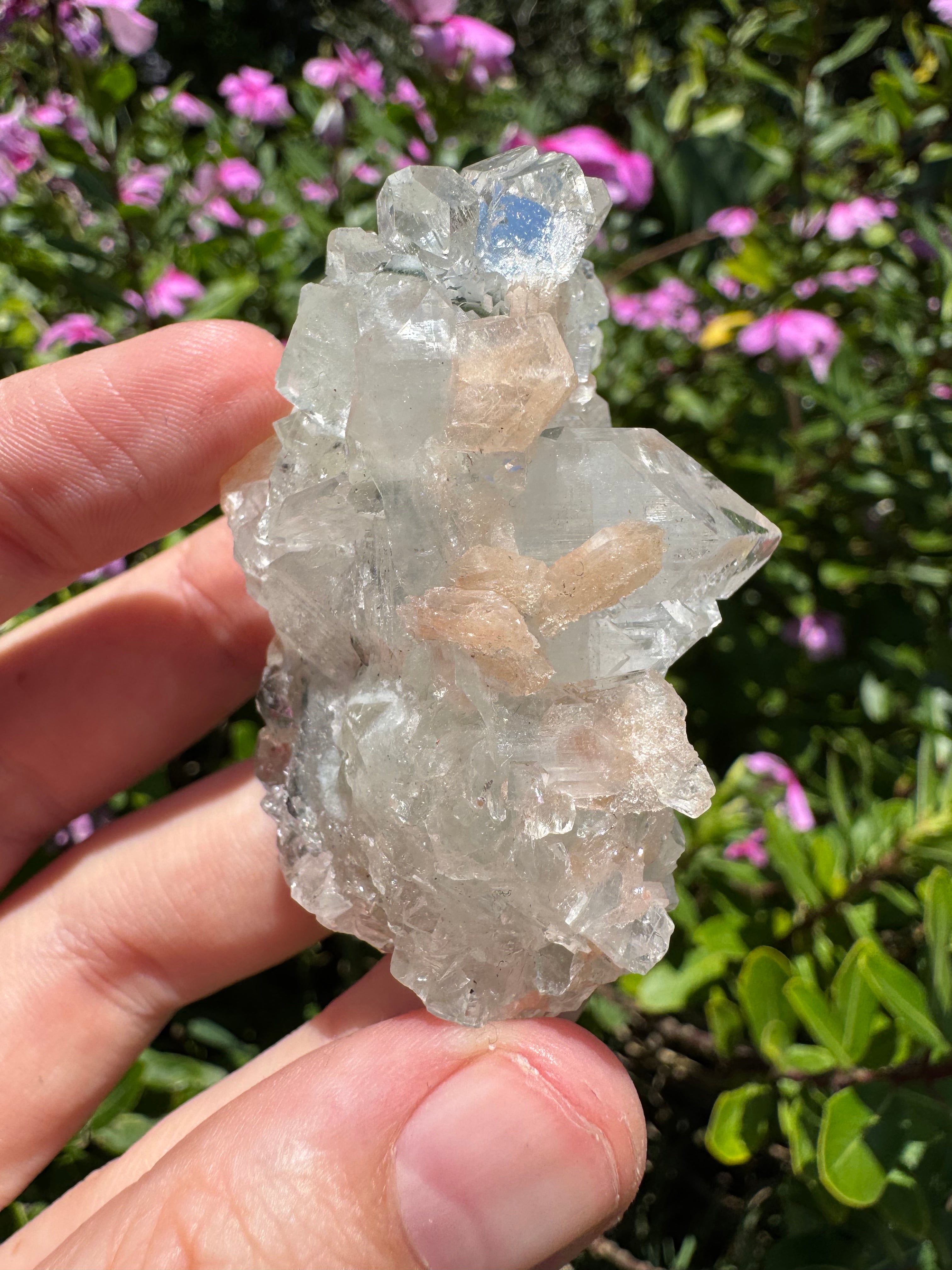 Glass Apophyllite With Stilbite Cluster - High Quality